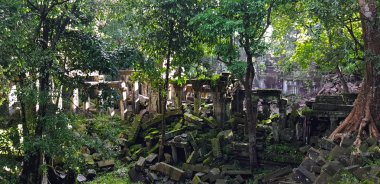 Dağların, denizlerin ve nehirlerin, yeşil çimenlerin büyüleyici doğası. Altay. Mavi gökyüzüne karşı, kumlu plaj.