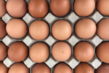 Yumurta tavuk çiftliği Satılık korunmuş paket