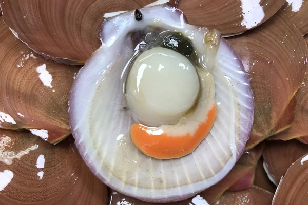 Vieiras frescas en el mercado francés de pescado — Foto de Stock