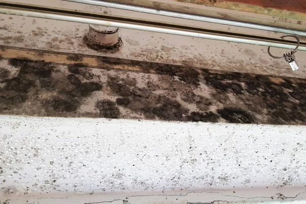 Water damaged ceiling and wall, leakage in an old building