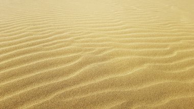 Arkaplan için sarı kum dokusu