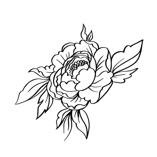 Vector black white contour simple sketch of peony flower. — Stock Vector