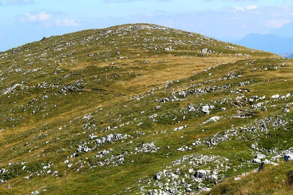 Beau Paysage Montagne Verdoyant Pierreux Sur Montagne Dans Les Alpes — Photo