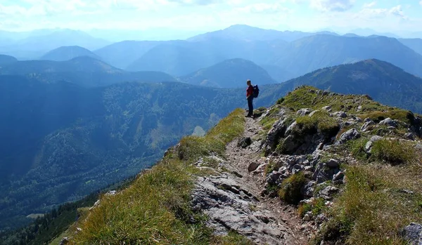 Turysta Cieszy Się Pięknym Krajobrazem Austriackich Alpach Otscher Oetscher Peak — Zdjęcie stockowe