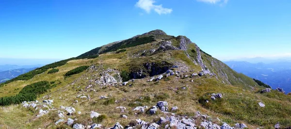 Vista Pico Otscher Oetscher 1893M Baja Austria Austria Alta Montaña — Foto de Stock