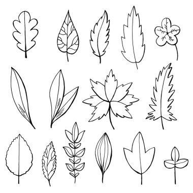 Siyah ve beyaz ağaç izole üzerinde beyaz arka plan yaprak.