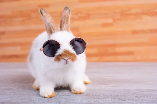 Kleine Schattig Konijn Met Zonnebril Blijven Grijze Tafel Met Bruin — Stockfoto