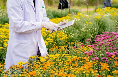 Beyaz laboratuvar elbisesi ile bilim adamı analiz ve gün boyunca bahçede çok renkli çiçek deney verileri kaydetmek için tablet kullanın.