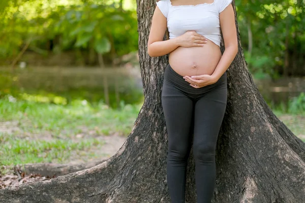 Kobieta Ciąży Stoją Drzewa Miękkie Dotykać Jej Brzuch Przez Dwie — Zdjęcie stockowe