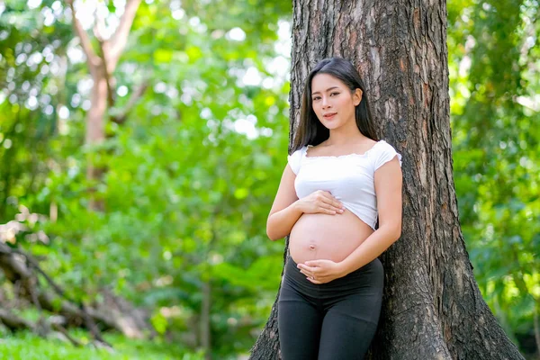 Piękne Azjatyckie Kobiety Ciąży Uśmiech Chude Drzewie Dotykać Jej Brzuch — Zdjęcie stockowe