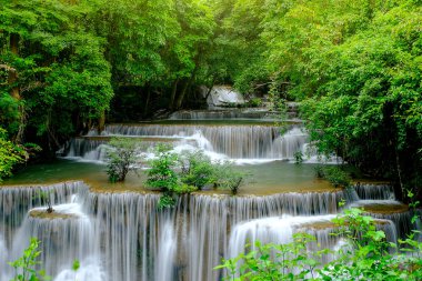 Çok katmanlı su yumuşak ışık ile yeşil ormanda bulutlu ve sisli gibi desen ile düşmek.