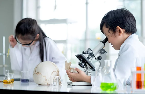 小男孩用显微镜分析颅骨模型 而小女孩在后面测试颜色化学物 为儿童提供的良好做法和科学教育概念支持了他们的学习 — 图库照片