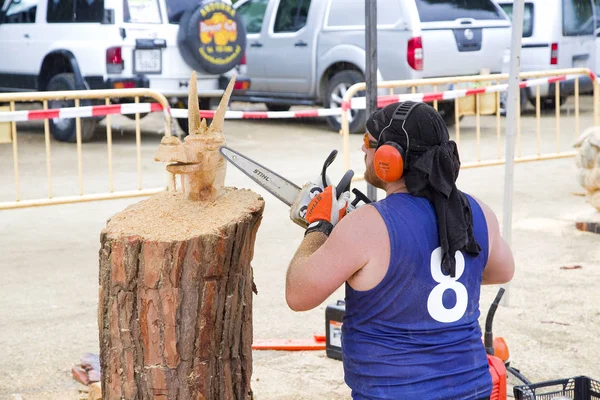 Competição Escultura Madeira Com Motosserra Julho 2019 Alella Barcelona Espanha — Fotografia de Stock