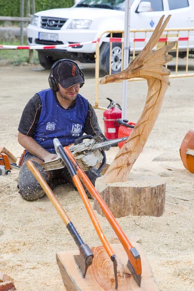 Wood Sculpture Competition Chainsaw July 2019 Alella Barcelona Spain — Stock Photo, Image