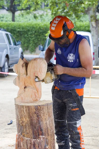 Competição Escultura Madeira Com Motosserra Julho 2019 Alella Barcelona Espanha — Fotografia de Stock