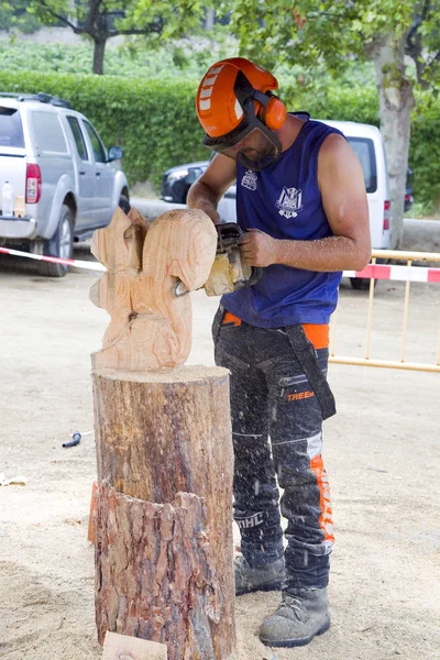 Competição Escultura Madeira Com Motosserra Julho 2019 Alella Barcelona Espanha — Fotografia de Stock