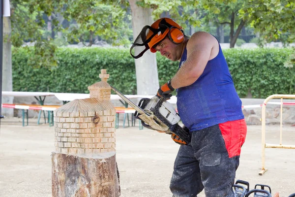 Wood Sculpture Competition Chainsaw July 2019 Alella Barcelona Spain — Stock Photo, Image