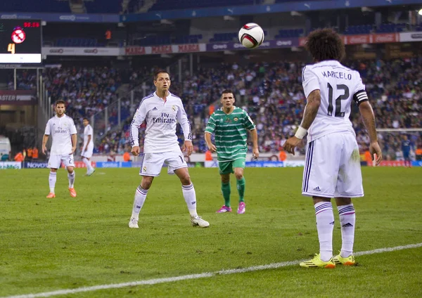 Javier Chicharito Hernández Acción Partido Copa Del Rey Entre Cornella — Foto de Stock