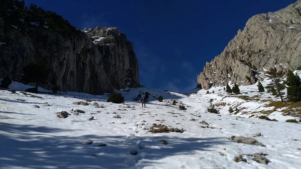 Pedraforca Berg 2506 Meter Pyreneeën Spanje — Stockfoto