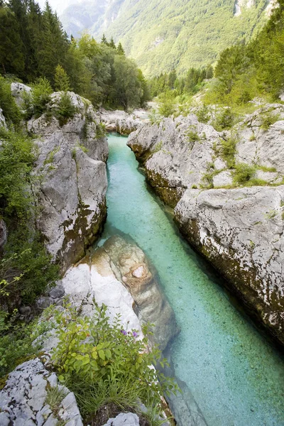 Soca Isonzo River Slovenia Europe — 图库照片