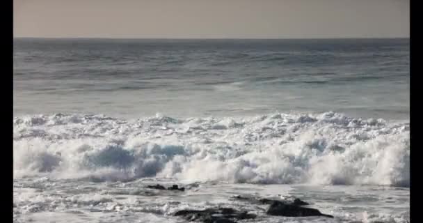 Gran Océano Hermosa Ola. Impresionante onda de barril brilla brillantemente en la bonita luz del sol de verano . — Vídeo de stock
