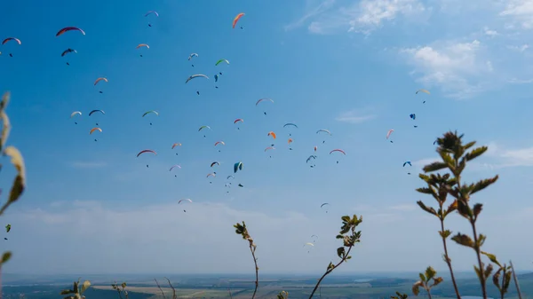 Paragliding competitions. Paraglider flying in summer day — Stock Photo, Image