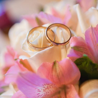 Bulanık alyanslar. Düğün teması.