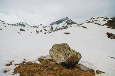 Taş kar arasında dağlarda yatıyor. Alp manzarası