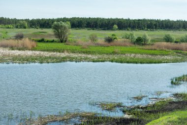 Sabah Nehri üzerinde. Orman nehrin diğer tarafında. Karışık orman. Manzara.