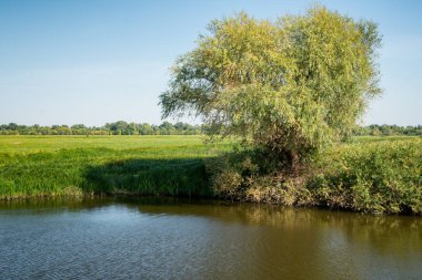 Gölün güzel sonbahar sabahı. Açık rekreasyon. Sonbahar manzara. Parkta bir yürüyüş.