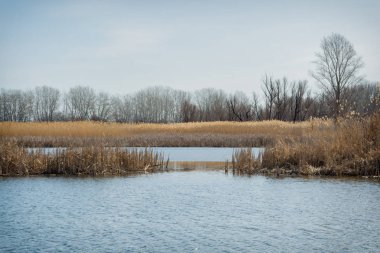 Doğanın uyanış sonra kış hazırda bekleme.