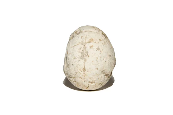 一个古老的化石蛋 史前鸡蛋 隔离在白色背景上 — 图库照片