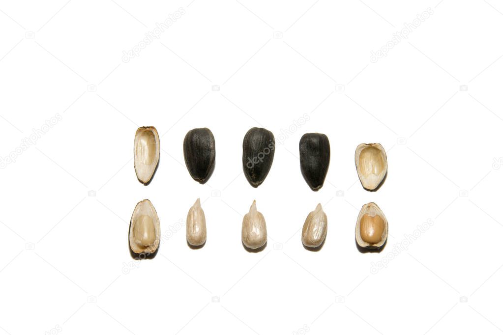 Sunflower seed. Open sunflower seeds. Seed husks. Isolated on white background.