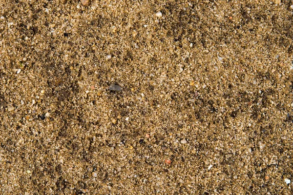 Hintergrundbild Von Sand Und Kieselsteinen Nahaufnahme Brauner Nasser Sand — Stockfoto