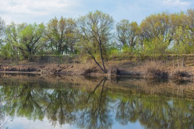 Nehirde rüzgarsız hava. Ormanın suyun üzerindeki yansıması..