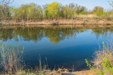 Nehirde rüzgarsız hava. Ormanın suyun üzerindeki yansıması..