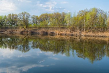 Nehirde rüzgarsız hava. Ormanın suyun üzerindeki yansıması..