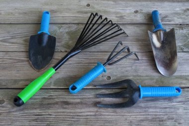 Eski ahşap bir masa üzerinde eski bahçe araçları yakın çekim. Vintage tarzı kirli ahşap arka plan üzerinde eski kirli paslı bahçe araçları.