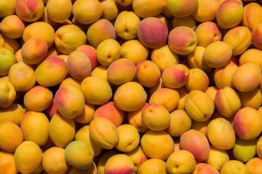 Kayısı. Taze kayısı arka plan. Olgun kayısı meyve arka plan. Taze organik kayısı lar kapanıyor.