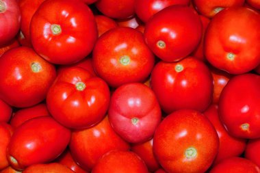 Olgun domates duvar kağıdı. Olgun domatesler yakın. Bir sepette domates farklı çeşitleri. Yumuşak seçici odaklama.