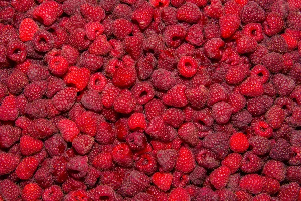 Фон Текстура Красной Перезрелой Рябины Rubus Idaeus Спелая Малина Крупным — стоковое фото