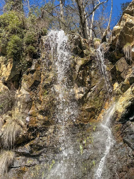 Rocha Floresta Com Uma Cachoeira — Fotografia de Stock