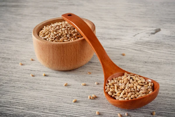 Pearl Barley Wooden Bowl Spoon — Stock Photo, Image