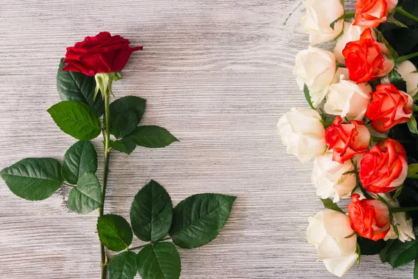 Eine Reihe Weißer Und Roter Rosen Und Eine Dunkelrote Rose — Stockfoto