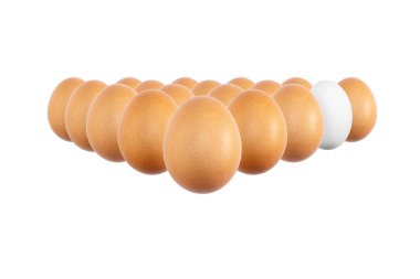 Yumurta beyaz ve beyaz frne izole kahverengi