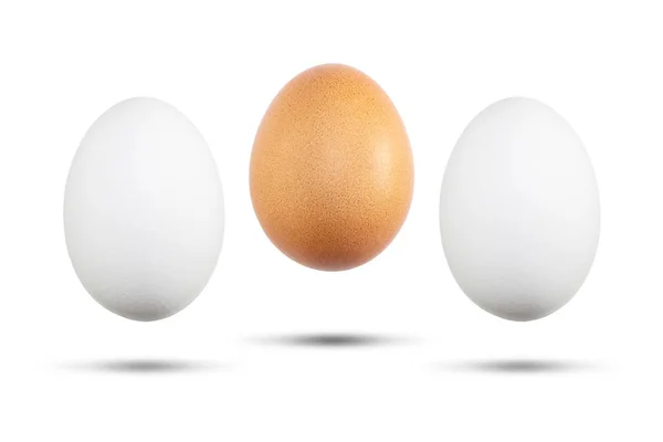 Αυγά Λευκό Και Καφέ Που Απομονώνονται Λευκό Frne — Φωτογραφία Αρχείου