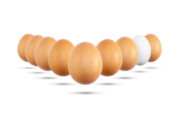 Яйца Белые Коричневые Изолированы Белом Фрне — стоковое фото