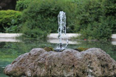 İtalya: Roma, Vatikan, Pompeii, Sorrento, Napoli