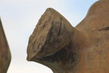 İtalya: Roma, Vatikan, Pompeii, Sorrento, Napoli