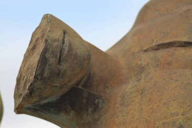 İtalya: Roma, Vatikan, Pompeii, Sorrento, Napoli